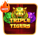 Triple Tigers slot game